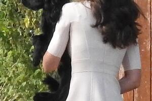 EXC Prince William, Kate Middleton