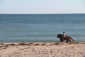 Puerto Peñasco: Destino playero cerca de Arizona