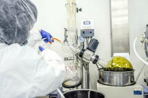 Israel Medical Marijuana