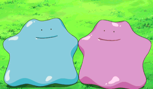 Ditto transformación