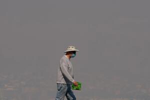 bay area air quality.jpg