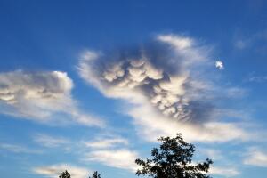 nubes-mammatus_1.jpg