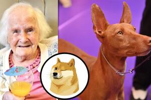 Mujer de 108 años asegura que gracias a los perros ha vivid tanto tiempo.
