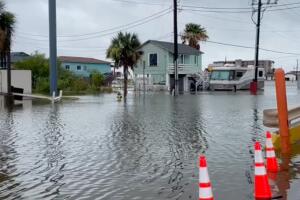ALBERTO-TX.jpg