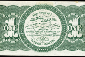 Salomon P_Posterior_ .png