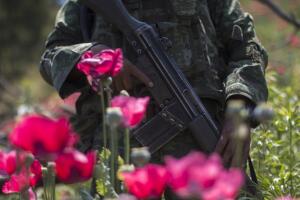 Violencia en México