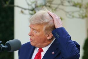 US-POLITICS-HEALTH-VIRUS-BRIEFING-TRUMP