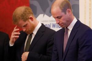 The Duke Of Cambridge Attends The 2018 Illegal Wildlife Trade Conference