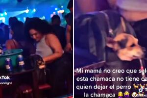 Chica se llevó a su perro a club nocturno y se hace viral