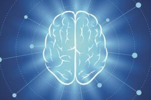 Curiosidades-sobre-el-cerebro-humano-2.jpg