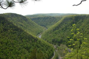 pine creek 1.jpg