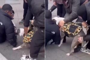 Pitbull sin correa ataca a niño de un año en plena calle cerca de Union Square.