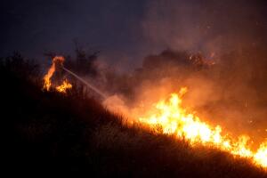 California Wildfires