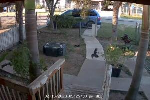 meteorito vivienda McAllen Texas NASA Condado de Hidalgo