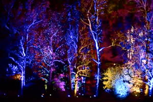 MortonArboretum.jpg