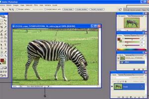 photoshop3_0.jpg