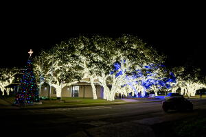 PEC lights.jpg
