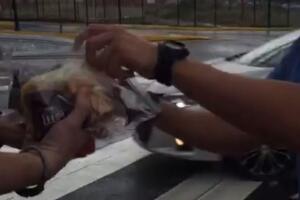 Policía de Puerto Rico dirige el tránsito en medio del apagón