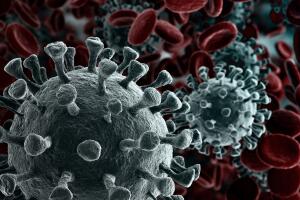 proteina_coronavirus_avance_combate_4.jpg