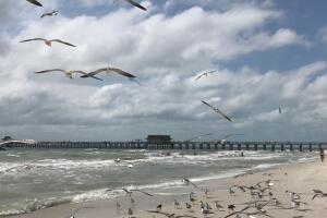 US-TOURISM-FLORIDA-SANIBEL