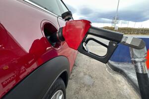 Biz Gasoline Prices