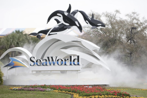 SeaWorld parques temáticos Florida