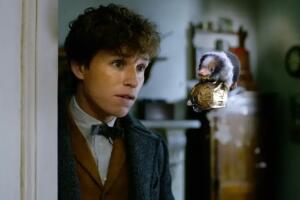 animales_fantasticos