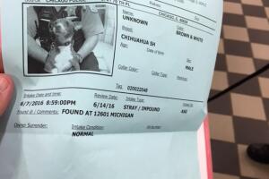 Chiquito regresa a casa