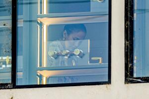 Jennifer López busca grifos