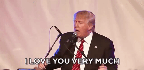 turmpiloveuverymuch.gif