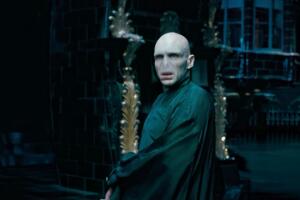 Voldemort Harry Potter.jpg