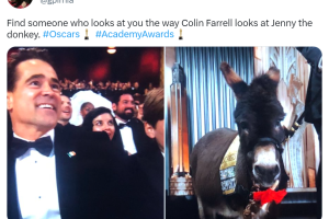 premios-oscar-2023-burra-jenny.png