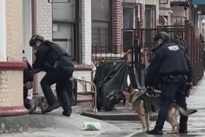 Desmantelan tienda ilegal de marihuana en edificio residencial del Bronx.