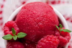 sorvete-light-frutas-vermelhas.jpg