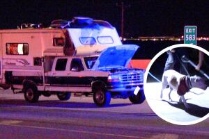 Trevor Tardy atropellado perseguir perros mascotas Autopista 10 San Antonio Texas