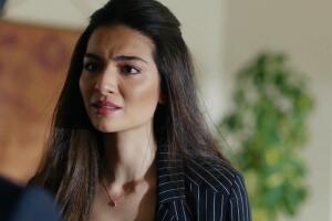 asu amor eterno13.jpg