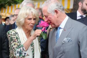 Príncipe Carlos y Camilla Parker