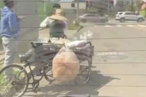 Helotera_ Los ANgeles.jpg