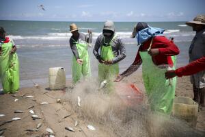 AMN-GEN MEXICO-PLAYA BAGDAD