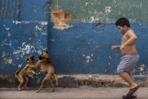 CUBA-EEUU ELECCIONES