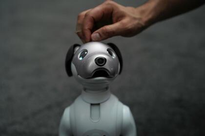 Este es aibo, el perro robot que Sony relanzó después de 11 años. Según la compañía, el comportamiento del robot se va formando dependiendo del trato que le de su dueño. Tiene dos cámaras: una en la nariz y otra en la parte posterior para poder registrar los movimientos. También funciona con comandos de voz. Alex Wong