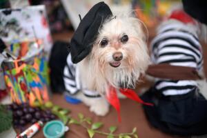 Haute Dog Howl'oween Parade