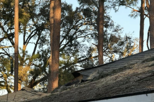 Familia hispana huye de Georgia por Helene y Milton los sorprende en Florida: esta es su historia