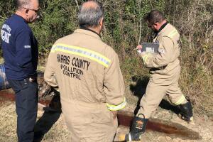 GALERIA BASURA/BASURA5.jpg