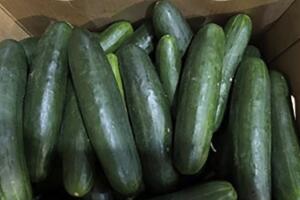 Salmonella-Cucumbers