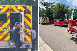 ataque abejas hombre tercera edad picado herido enajmbre san antonio texas