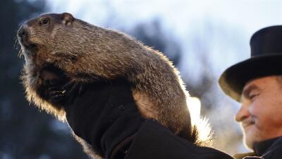 EL MARMOTA ACTIVE