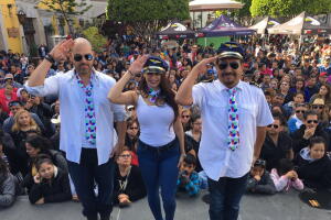 BMF La piloto