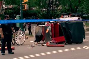 “Él gritaba: ‘¡Mamá!’”: padre del joven muerto en Central Park relata tragedia.