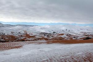 Sahara Nevado
